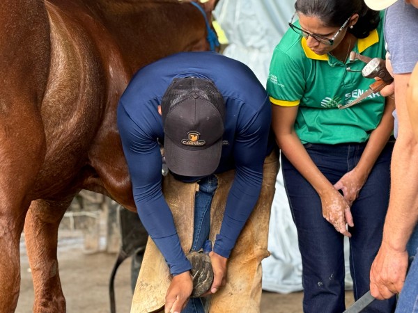 Prefeitura de Malhador e Senar promovem curso de casqueamento de equinos