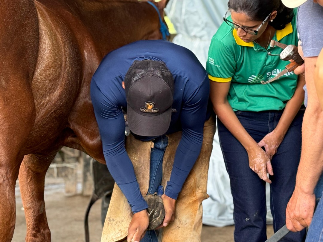 Prefeitura de Malhador e Senar promovem curso de casqueamento de equinos
